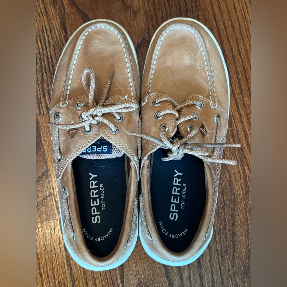 Sperry Men's Brown Boat Shoes